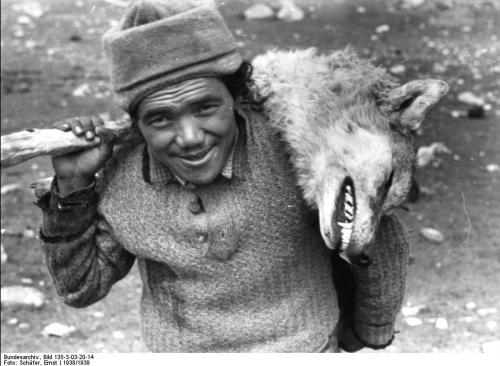 Caçador.de.Lobos.Tibet